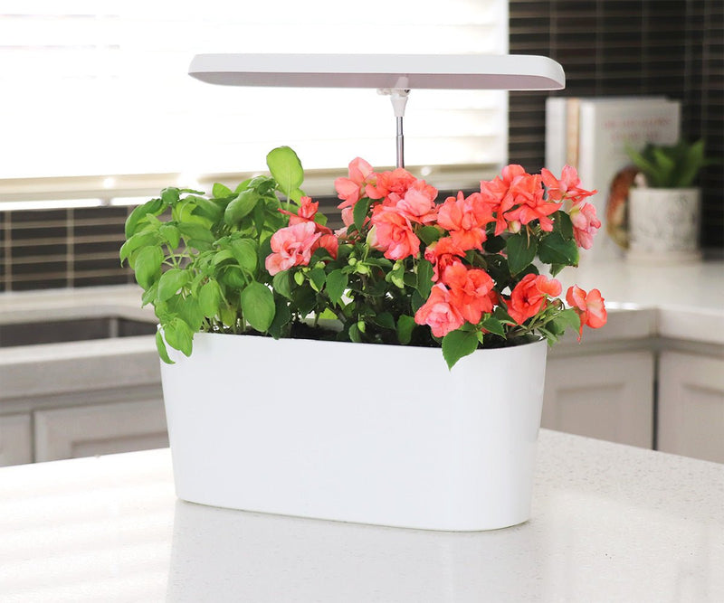 SunBlaster Nano Growlight Garden - Indoor Farmer