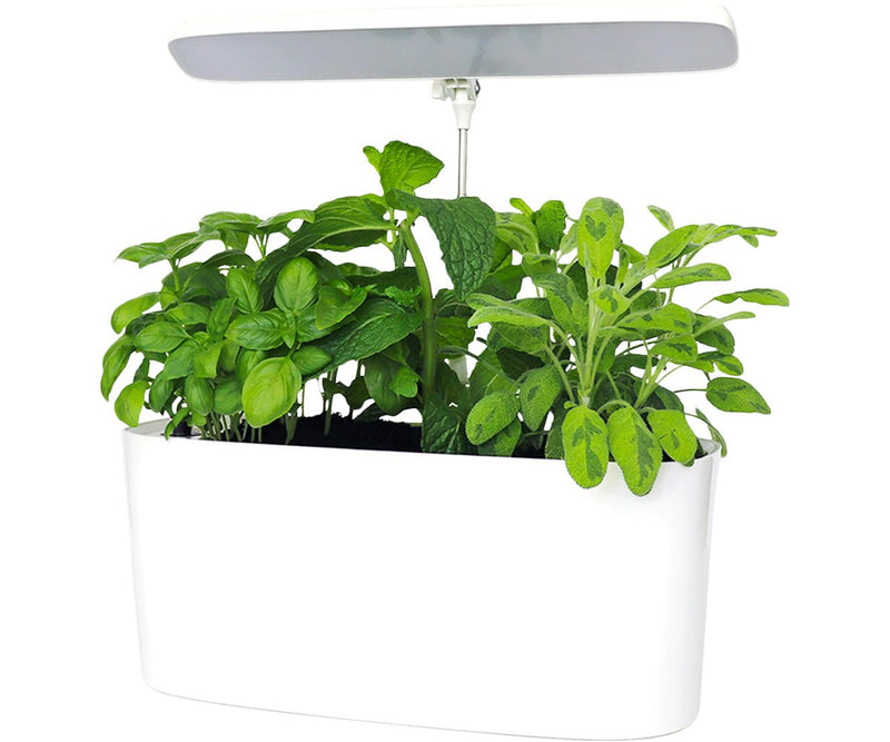 SunBlaster Nano Growlight Garden - Indoor Farmer
