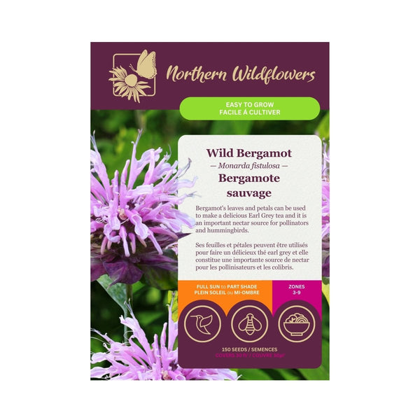 Wild Bergamot Seeds Approx. 150 seeds - Indoor Farmer