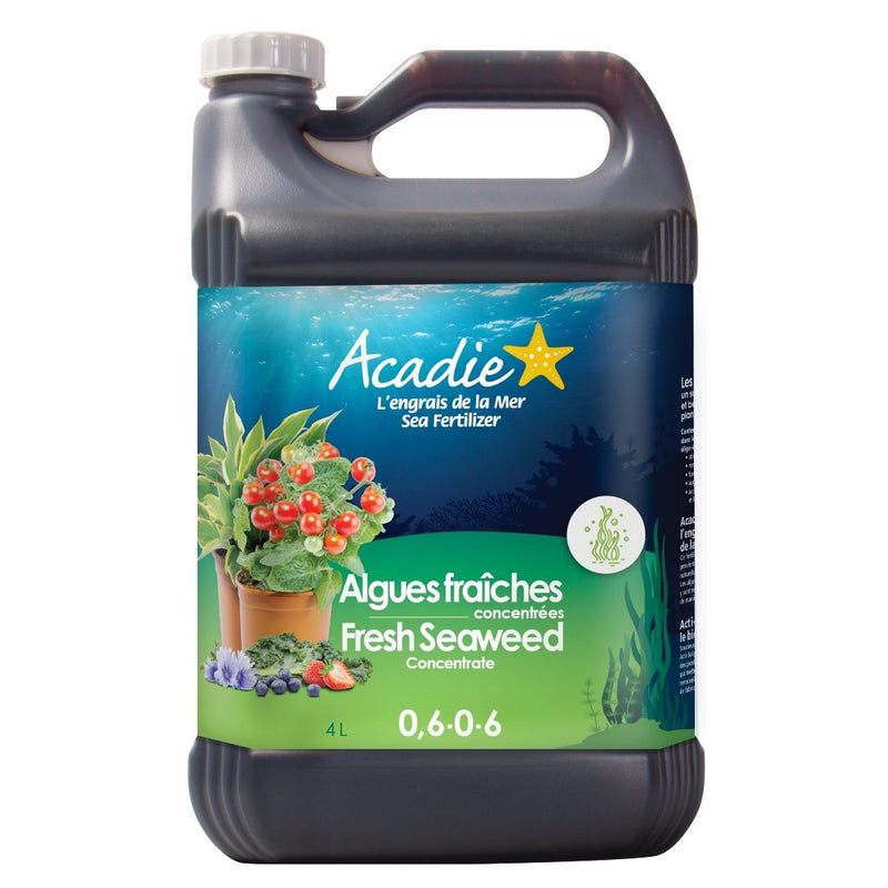 Acadie Fresh Seaweed Concentrate (0.6-0-6) - Indoor Farmer