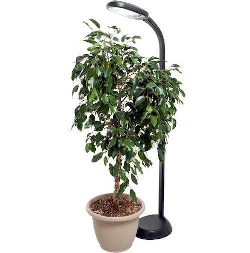 Agrobrite Standing CFL Plant Lamp 27W - Indoor Farmer