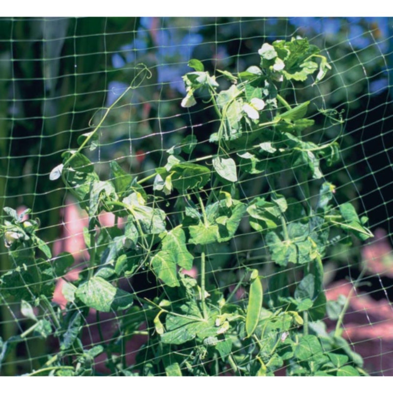 American Netting Lightweight Garden Netting - Indoor Farmer