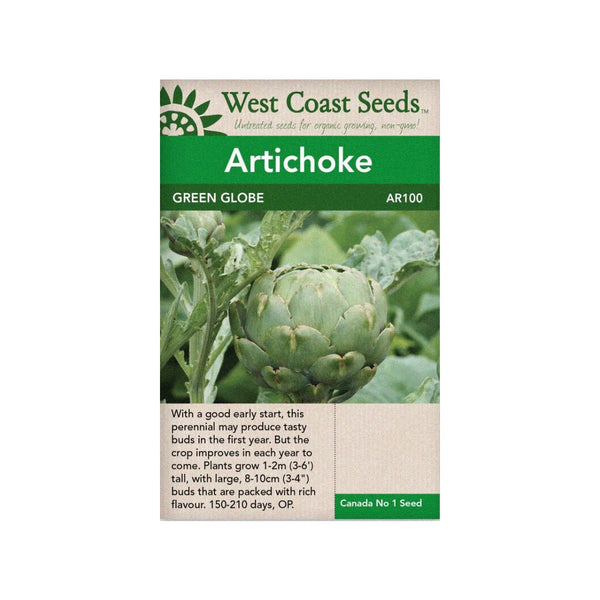 Artichoke - Green Globe Artichoke Seeds - Indoor Farmer