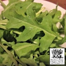 Arugula - Basic Seeds 200 Seed Packet - Indoor Farmer