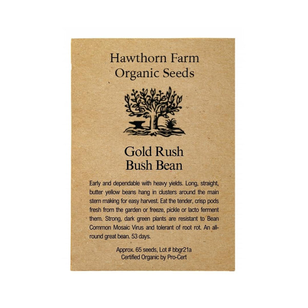 Beans - Gold Rush Yellow Wax Bean Seeds - Indoor Farmer