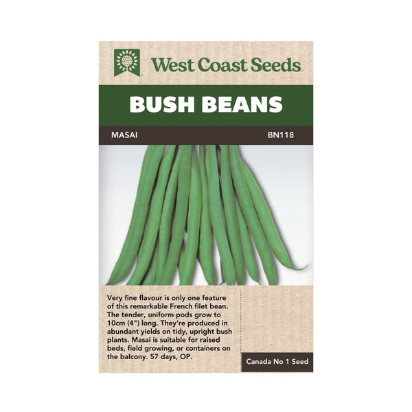 Beans - Masai Bush Bean Seeds - Indoor Farmer