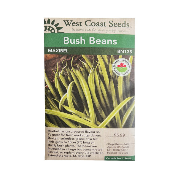 Beans - Maxibel Filet Bush Bean Seeds - Indoor Farmer