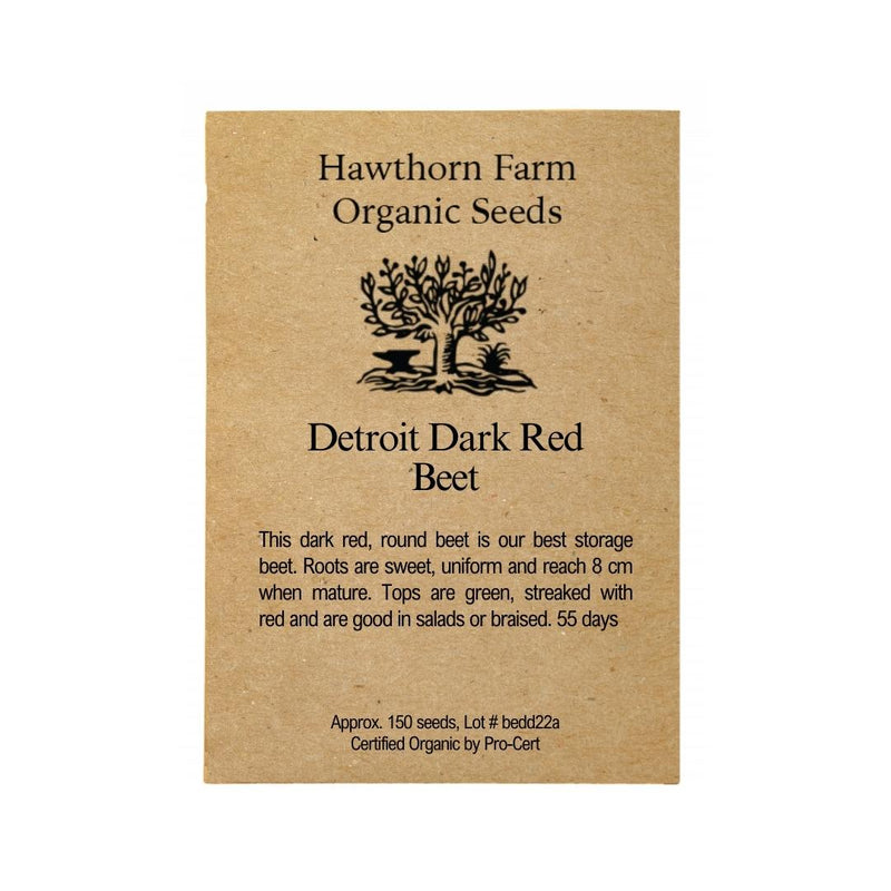 Beets - Detroit Dark Red Seeds - Indoor Farmer