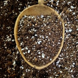 Black Swallow Seed Starter Soil Mix - Indoor Farmer
