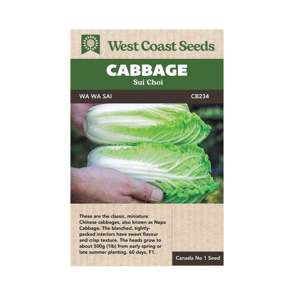 Cabbage - Wa Wa Sai Cabbage Seeds - Indoor Farmer