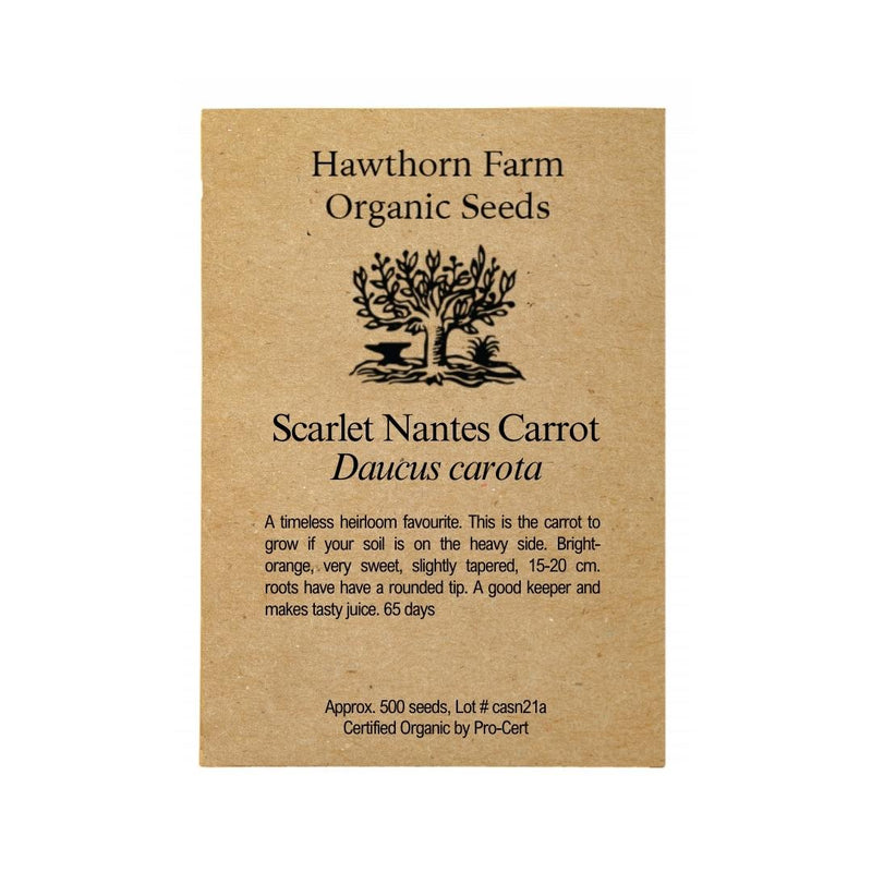 Carrots - Scarlet Nantes Seeds - Indoor Farmer