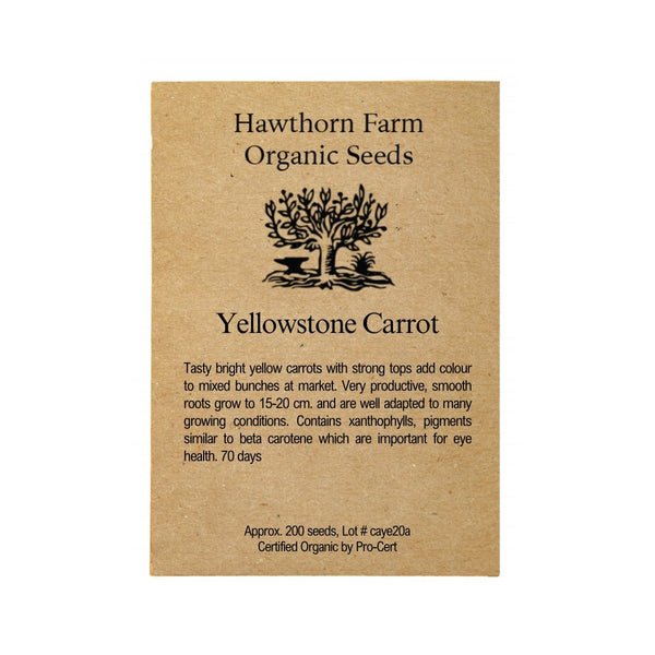 Carrots - Yellowstone Carrot Seeds - Indoor Farmer
