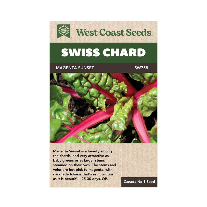 Chard - Magenta Sunset Swiss Chard Seeds - Indoor Farmer