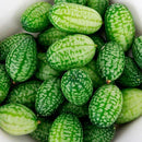 Cucumber - Cucamelon Seeds (Mexican Sour Gherkin) Approx. 30 seeds - Indoor Farmer