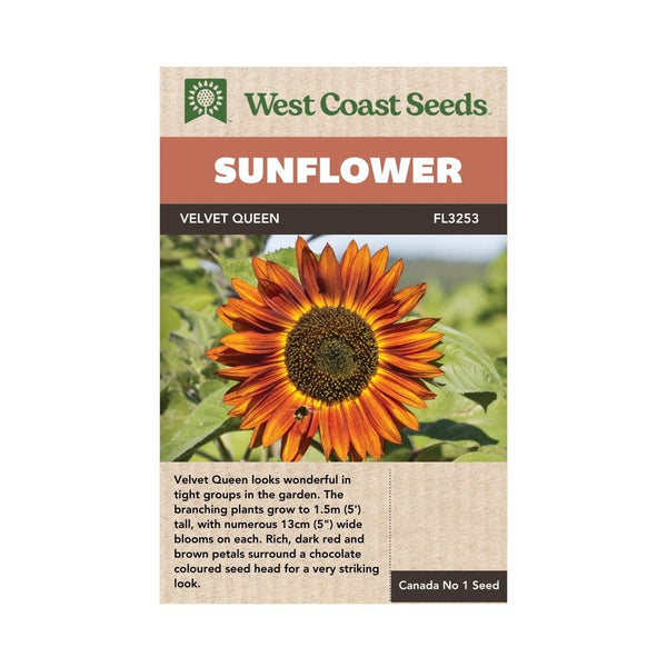 Flowers - Velvet Queen Sunflower Seeds - Indoor Farmer