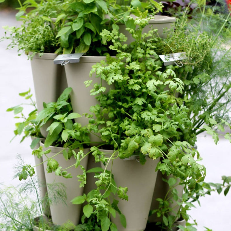 GreenStalk Pack of 25 Plant Markers - Indoor Farmer