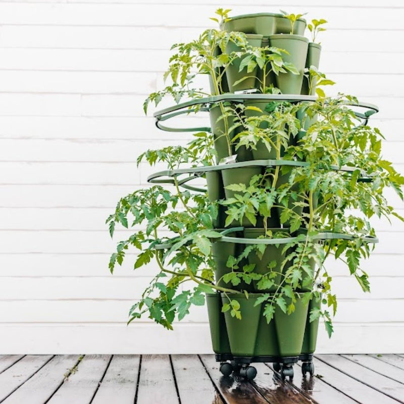 GreenStalk Plant Support - Indoor Farmer