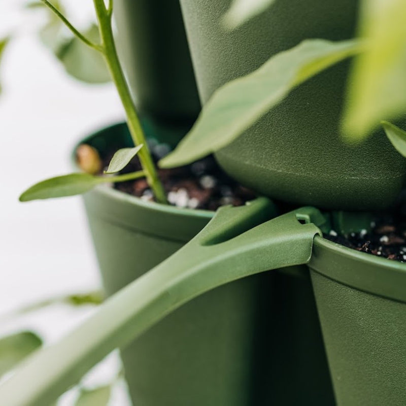 GreenStalk Plant Support - Indoor Farmer