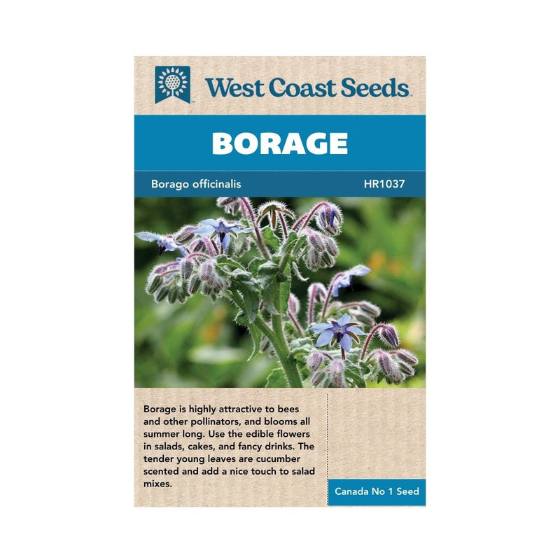Herbs - Borage Seeds - Indoor Farmer