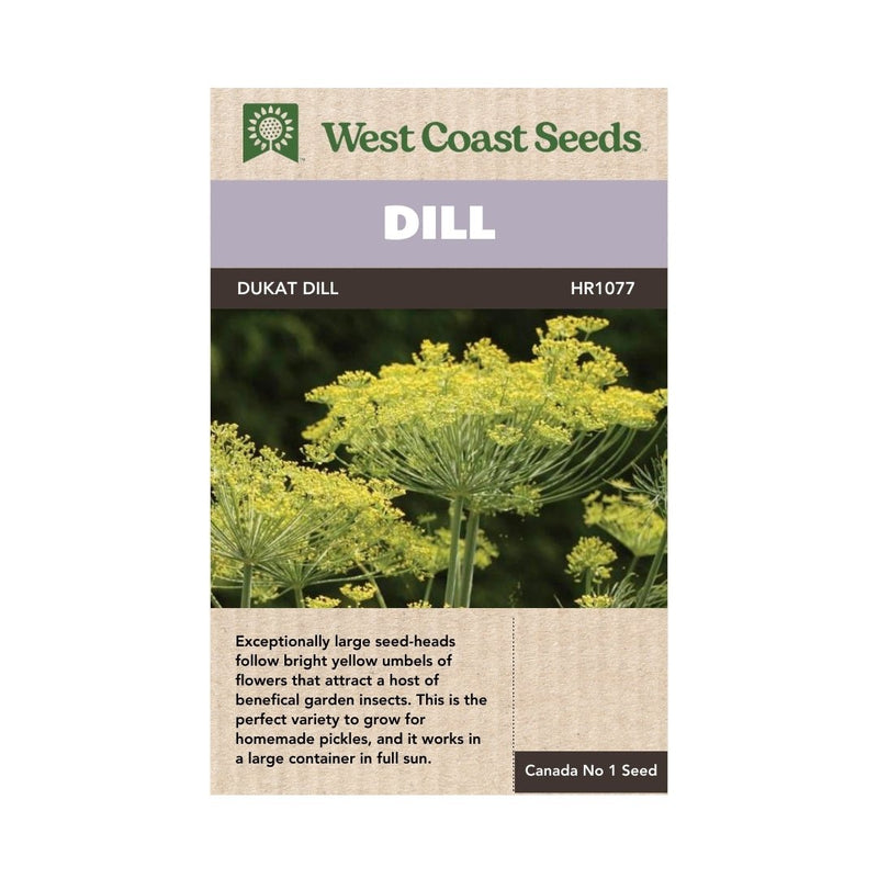 Herbs - Dukat Dill Seeds - Indoor Farmer