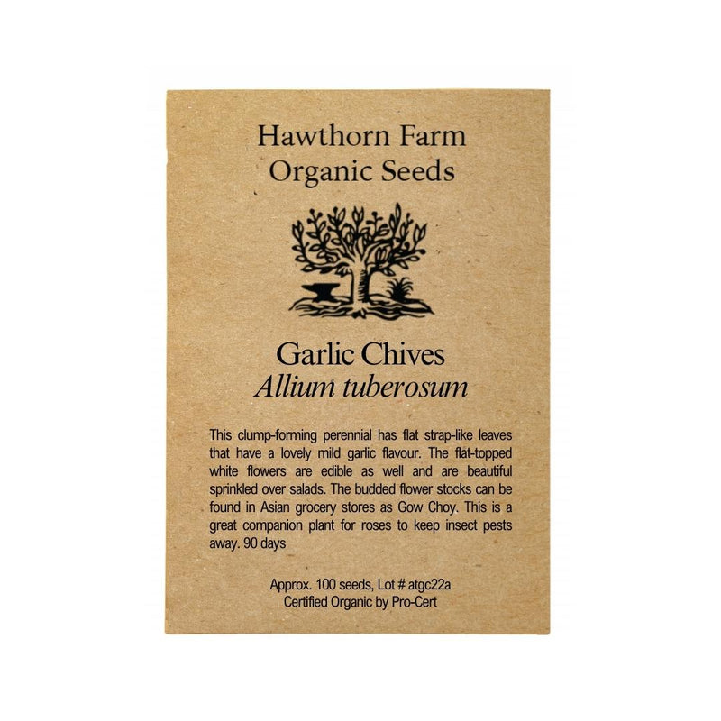 Herbs - Garlic Chives Seeds - Indoor Farmer