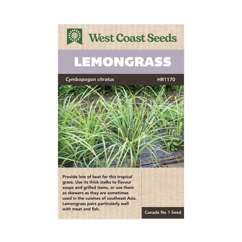Herbs - Lemongrass Seeds - Indoor Farmer