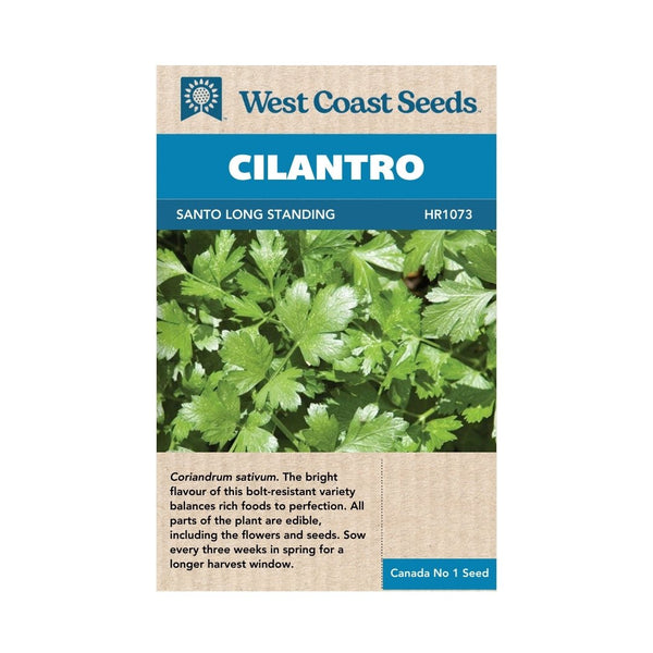 Herbs - Santo Long Standing Cilantro Seeds - Indoor Farmer