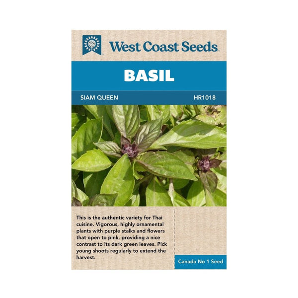 Herbs - Siam Queen Thai Basil Seeds - Indoor Farmer