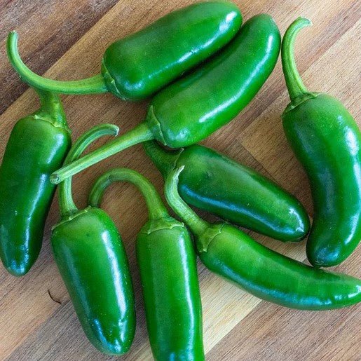 Hot Peppers - Jalapeno M Pepper Seeds - Indoor Farmer