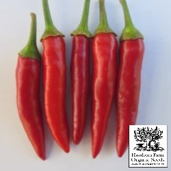 Hot Peppers - Matchbox Seeds - Indoor Farmer