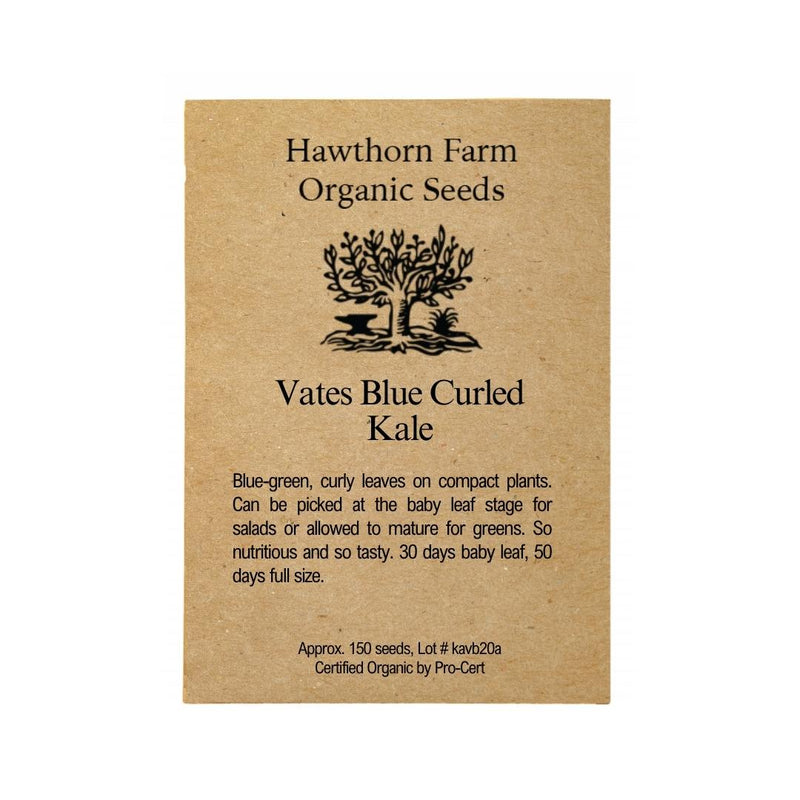 Kale - Vates Blue Curled Seeds 150 Seed Packet - Indoor Farmer