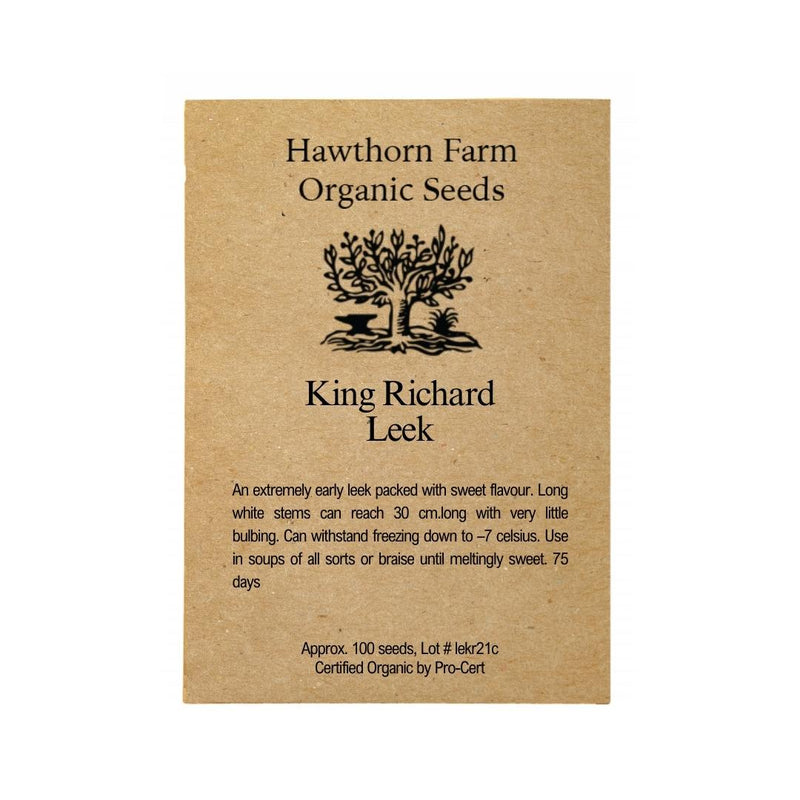 Leek - King Richard Seeds 100 Seed Packet - Indoor Farmer