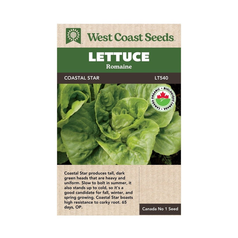 Lettuce - Coastal Star Organic Lettuce Seeds - Indoor Farmer