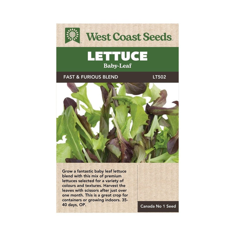 Lettuce - Fast and Furious Blend Organic Seeds - Indoor Farmer