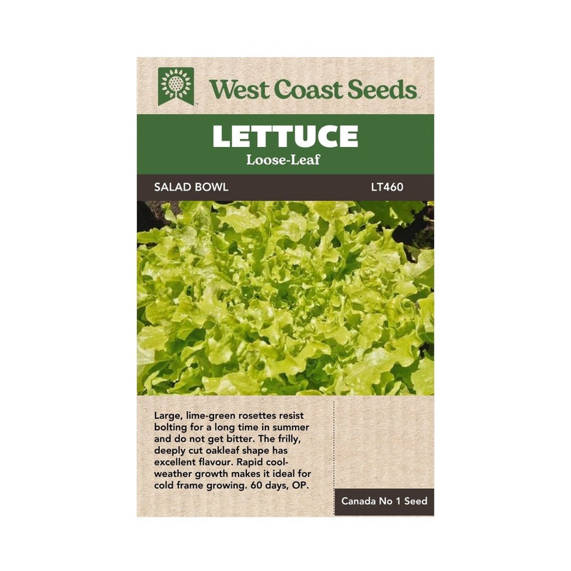 Lettuce - Green Salad Bowl Lettuce Seeds - Indoor Farmer