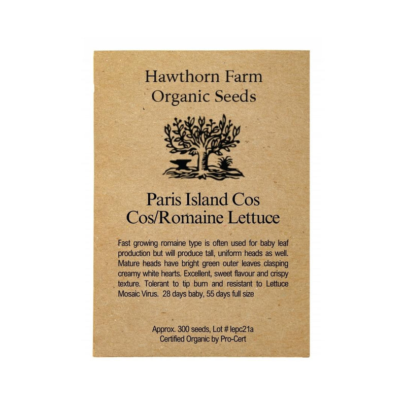 Lettuce - Paris Island Cos Seeds 300 Seed Packet - Indoor Farmer