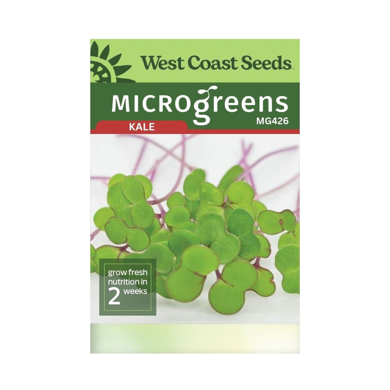 Microgreens - Kale Microgreen Seeds - Indoor Farmer