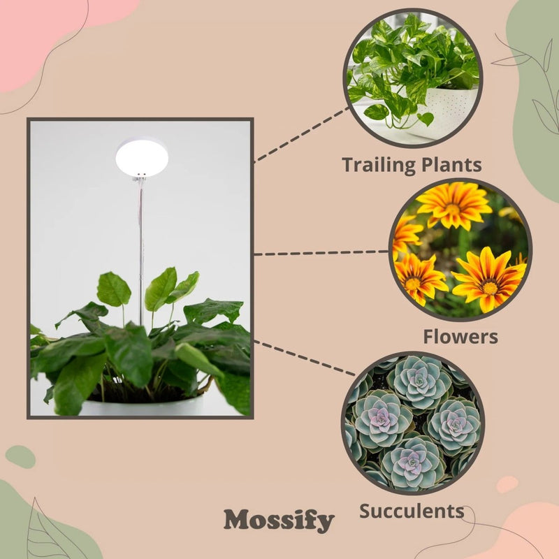 Mossify Adjustable LED Plant Light with Timer - Indoor Farmer