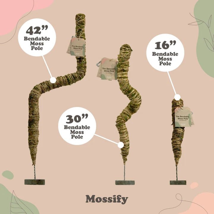 Mossify Bendable Moss Pole Plant Support - Indoor Farmer