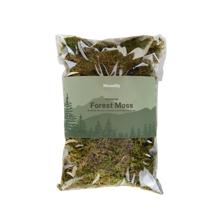 Mossify Premium Natural Forest Moss Mix - Indoor Farmer