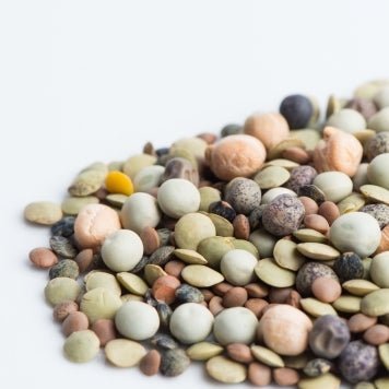 Mumm's Sprouting Seeds Crunchy Bean Mix - Indoor Farmer