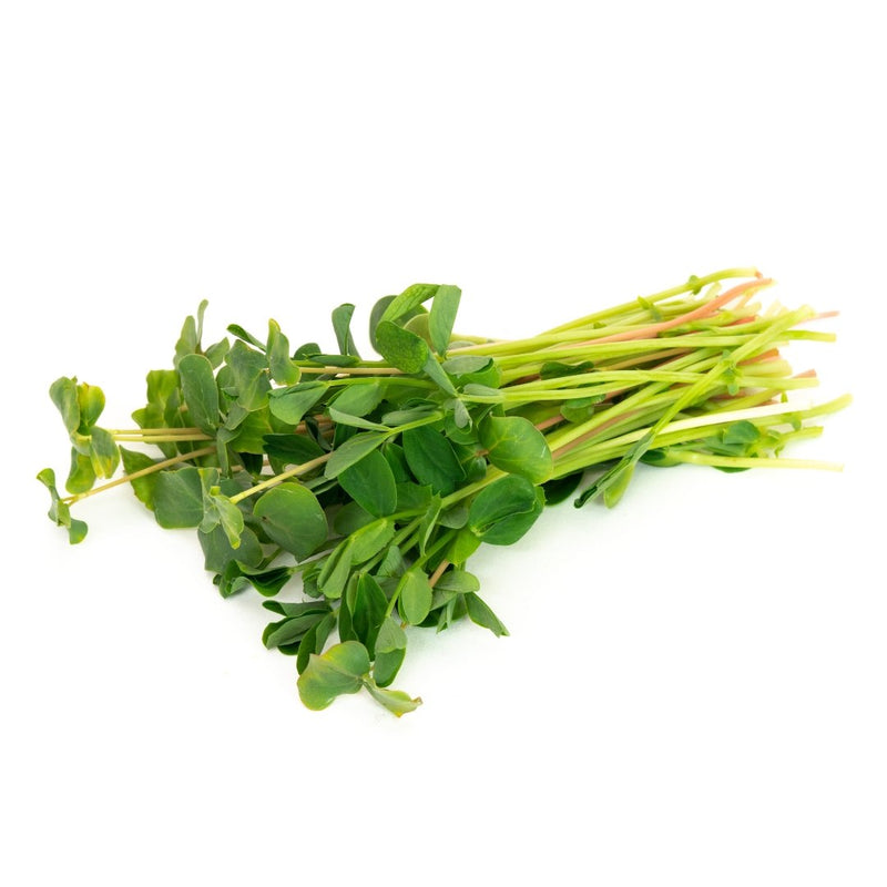 Mumm's Sprouting Seeds Microgreen Salad Mix - Indoor Farmer
