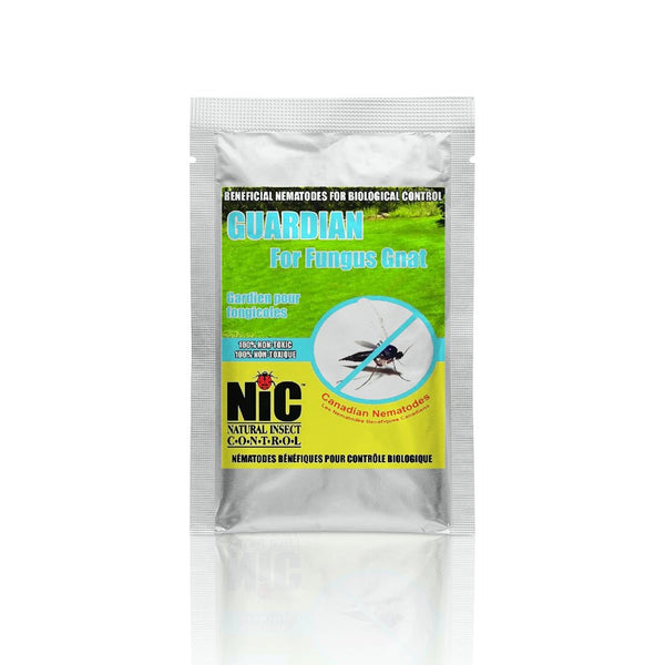 Natural Insect Control Guardian for Fungus Gnat (Small) - Indoor Farmer