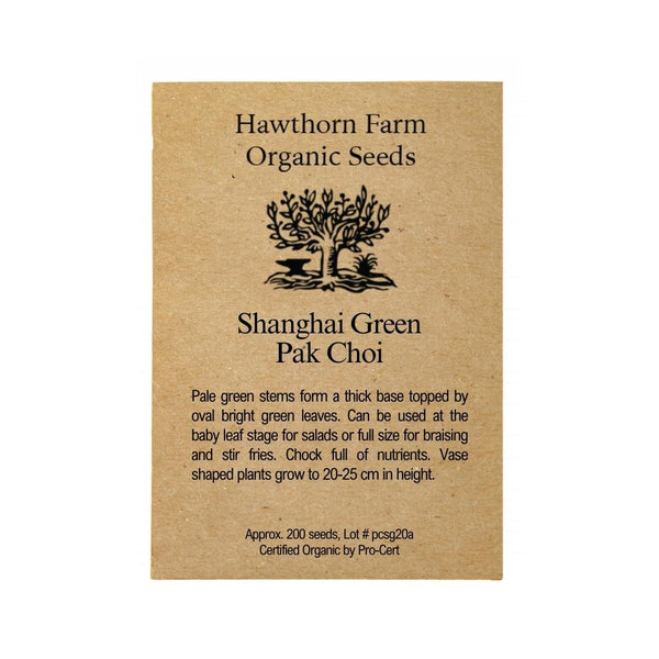 Pac Choi - Shanghai Green Seeds 200 Seed Packet - Indoor Farmer