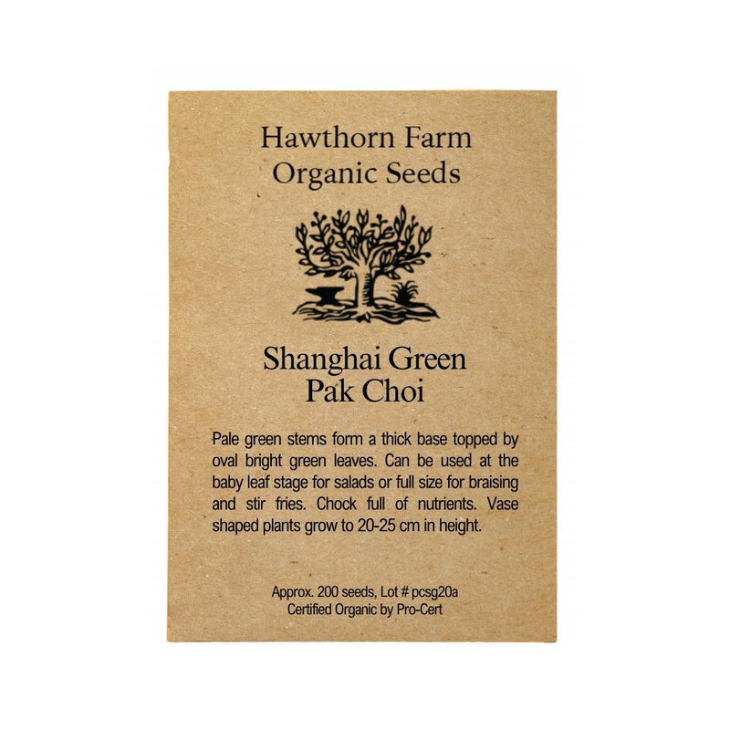 Pac Choi - Shanghai Green Seeds 200 Seed Packet - Indoor Farmer