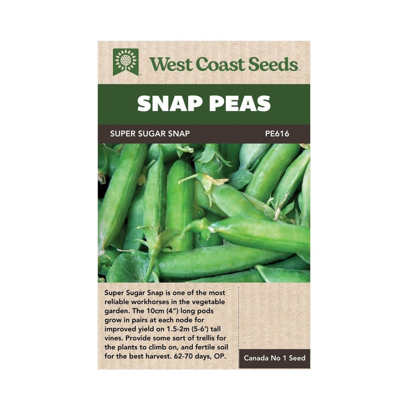 Peas - Super Sugar Snap Pea Seeds - Indoor Farmer