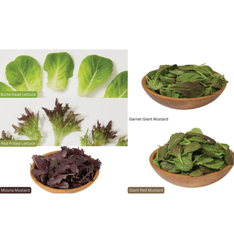 Plantaform Pod Pack - Fresh Salad Mix - Indoor Farmer