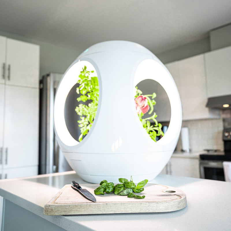 Plantaform Rejuvenate Smart Indoor Garden - Indoor Farmer