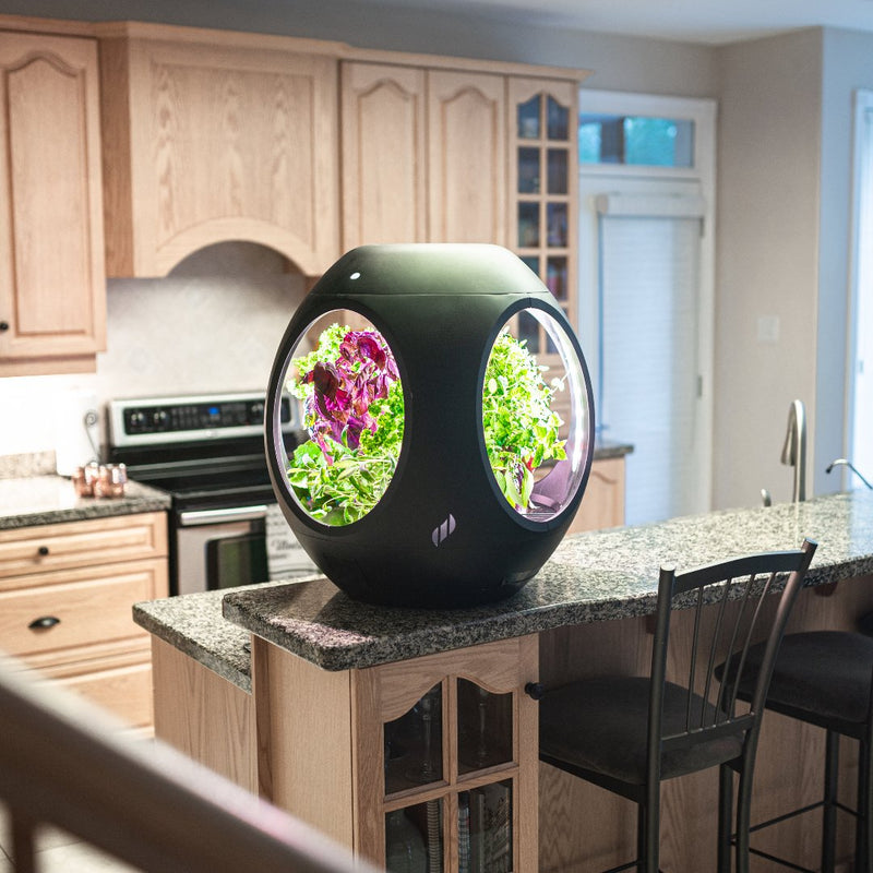 Plantaform Rejuvenate Smart Indoor Garden - Indoor Farmer