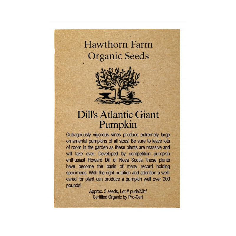 Pumpkin - Dill's Atlantic Giant Pumpkin Seeds - Indoor Farmer